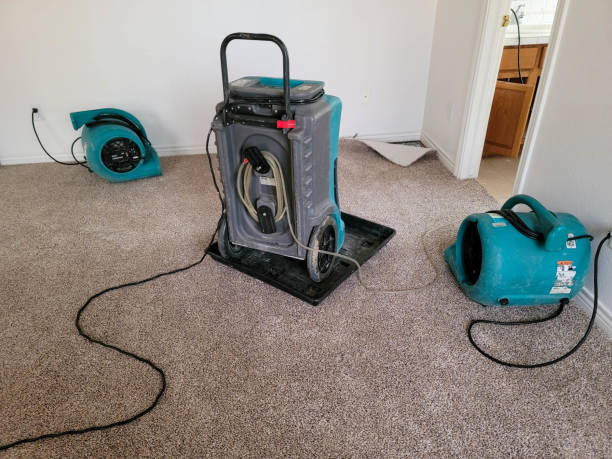 Best Sewage cleanup and water damage restoration  in Eastlake, OH