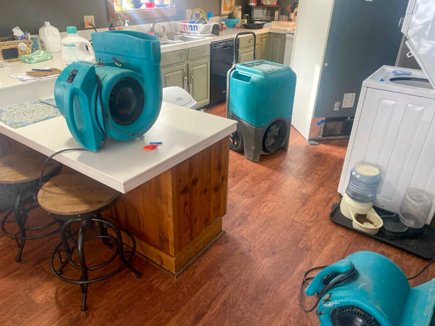 Best Water damage mitigation services  in Eastlake, OH