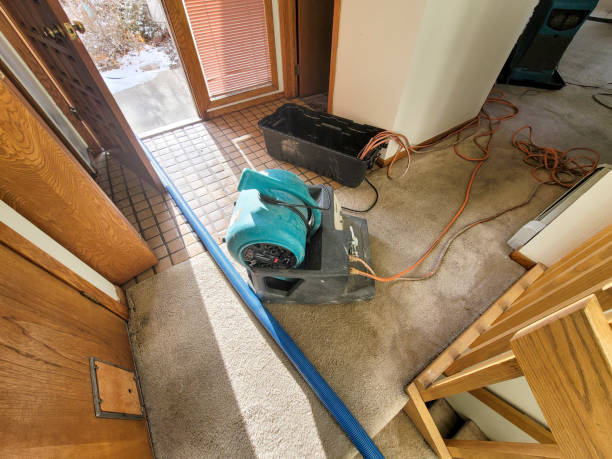 Best Local water damage restoration  in Eastlake, OH