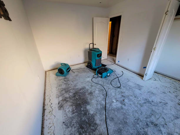 Best Ceiling water damage repair  in Eastlake, OH