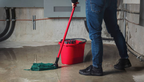Best Fire Damage Restoration  in Eastlake, OH