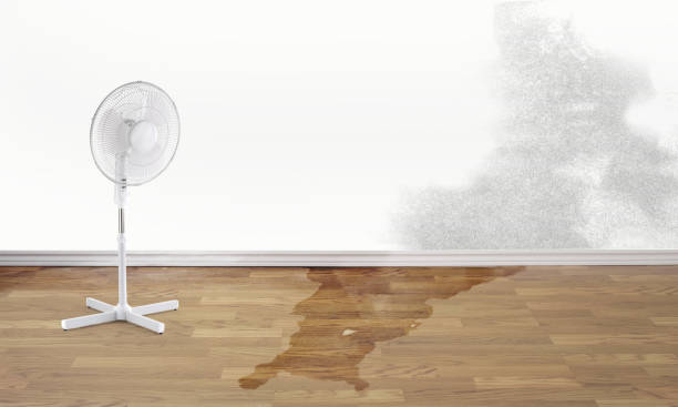 Best Carpet water damage restoration  in Eastlake, OH