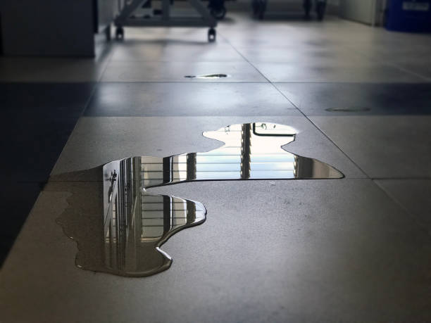 Best Water damage restoration services  in Eastlake, OH