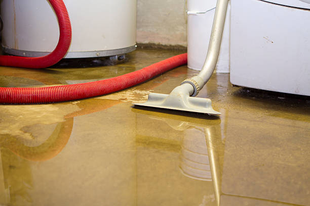 Best Water damage cleanup near me  in Eastlake, OH