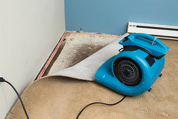 Best Water damage restoration near me  in Eastlake, OH